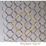 Ring mesh Detail